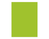 Elco Office Paper Intense Green A4 - Al Masam Stationery LLC